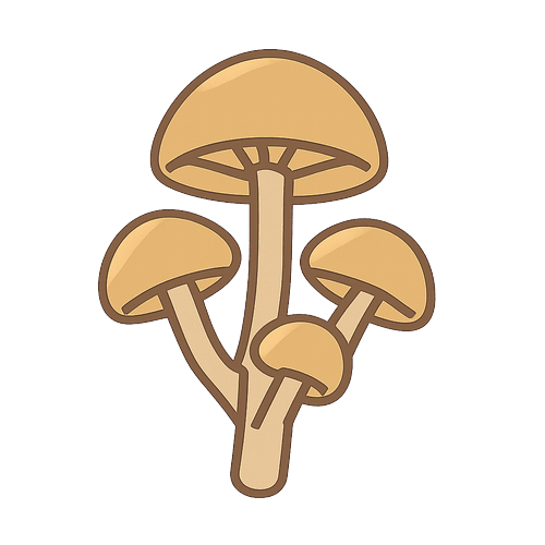 Mushrooms