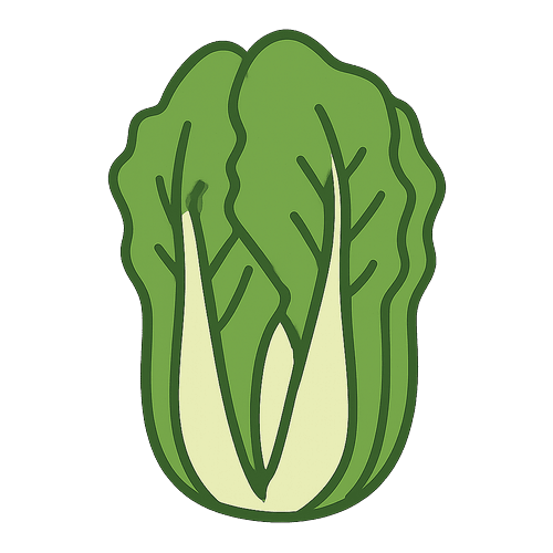 Napa-Cabbage