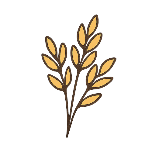 Oats