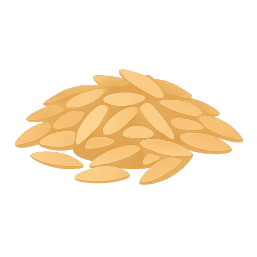 Orzo