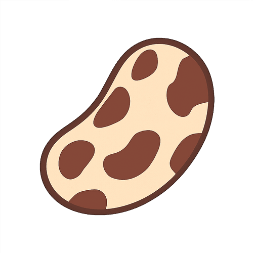 Pinto Bean