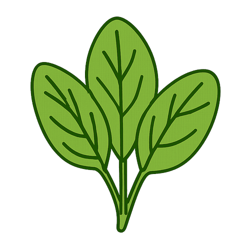 Plantain