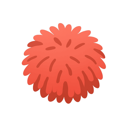 Pom Pom