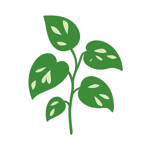 Pothos