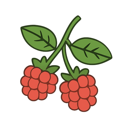 Raspberry