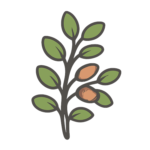 Refried Beans