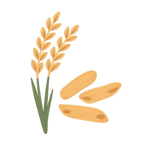 Rice And Pasta