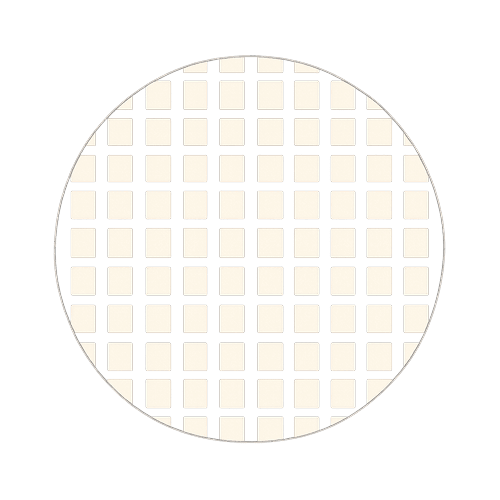 Rice Paper Wrappers