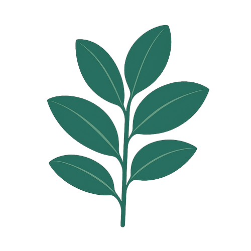 Rubber Plant