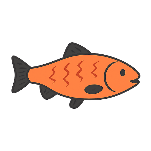 Salmon