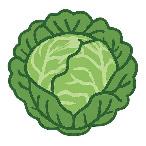 Savoy-Cabbage