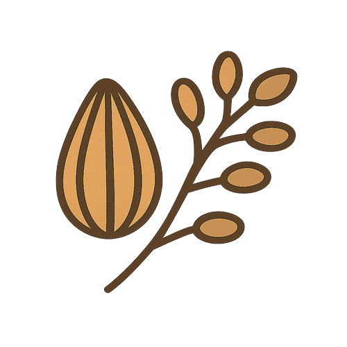 Seeds