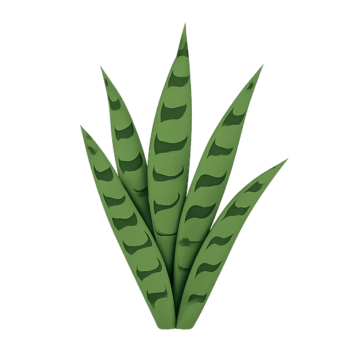 Snake Plant