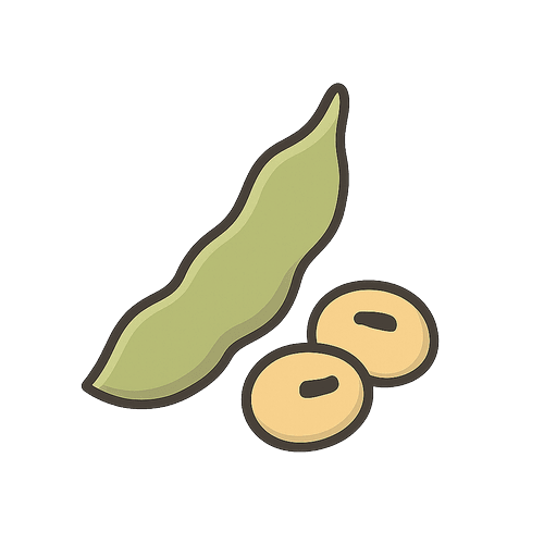 Soybean