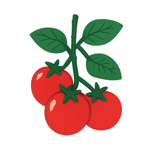 Spaghetti Sauce