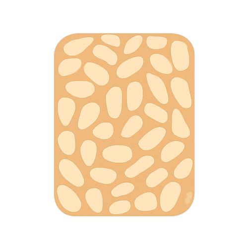 Tempeh