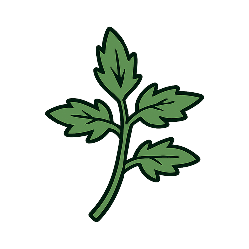 Tomato Leaves And Stems