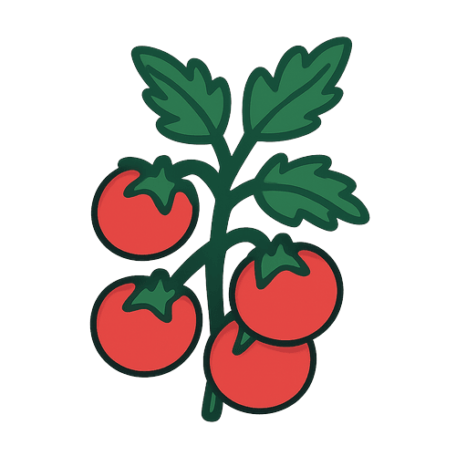 Tomato Paste