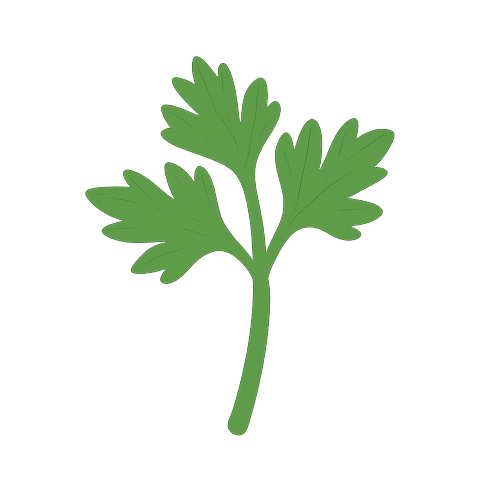 Vegetable-Broth