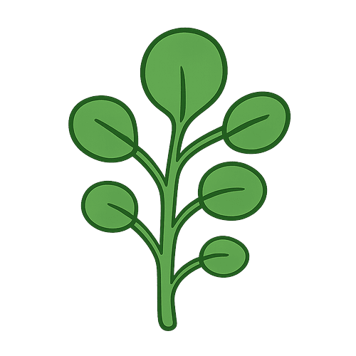 Watercress