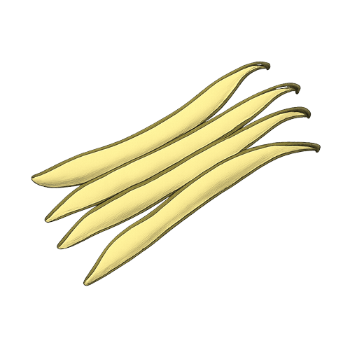 Wax Bean