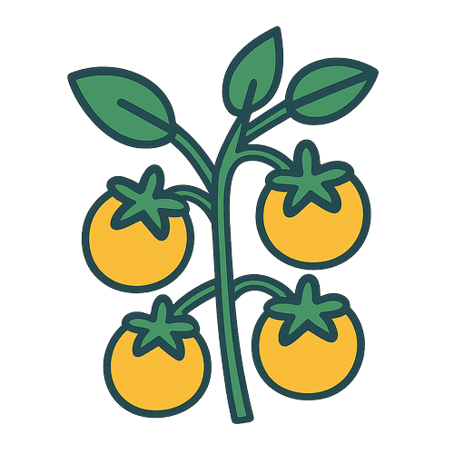 Yellow-Tomato