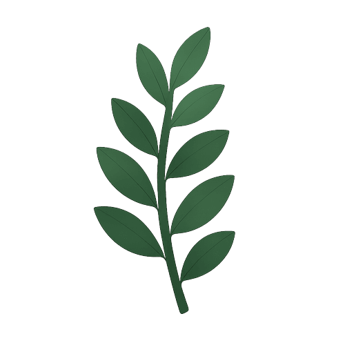 Zz Plant