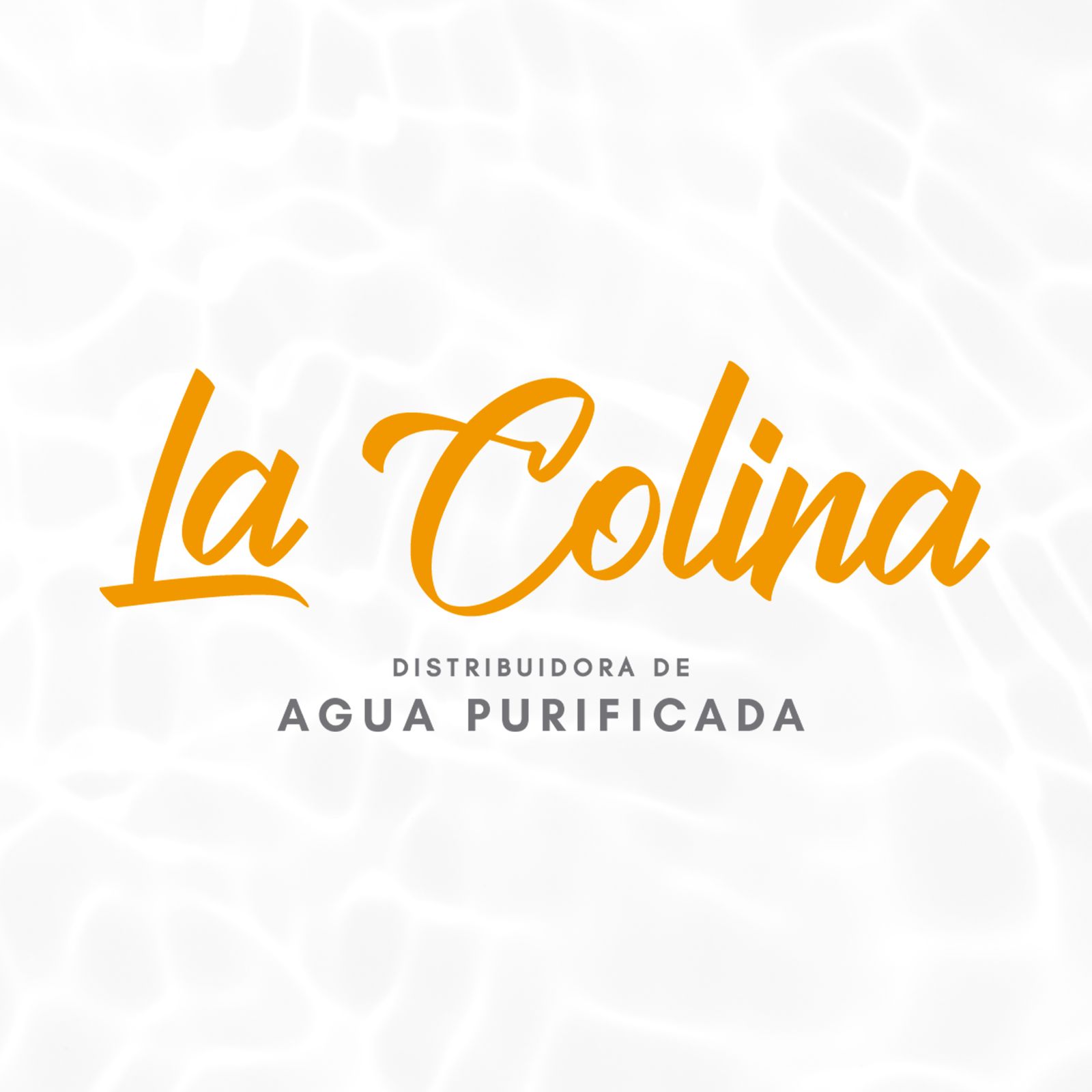 Logo Agua La Colina