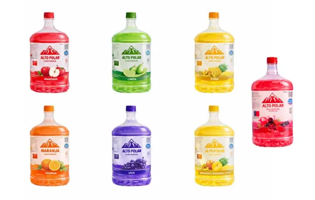 AGUA SABORIZADA 10 LT