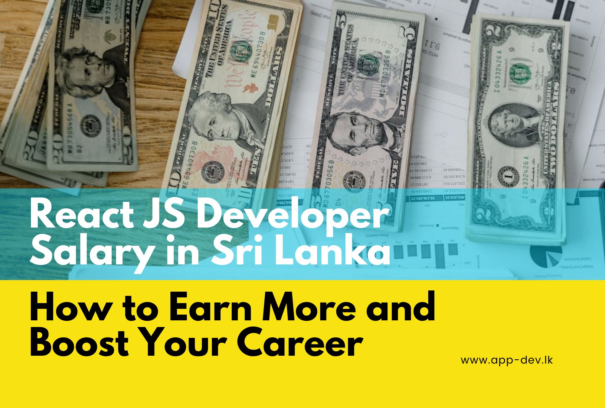 React JS Developer Salary in Sri Lanka: How to Earn More and Boost Your Career