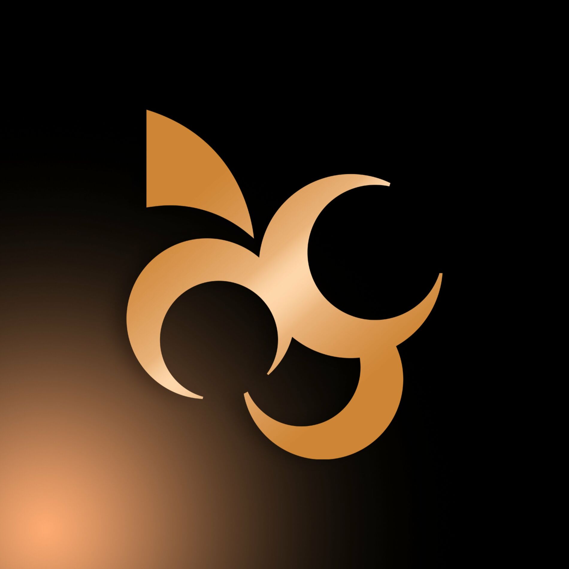 Videira Caxias do Sul Logo