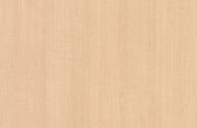 Sugar-maple