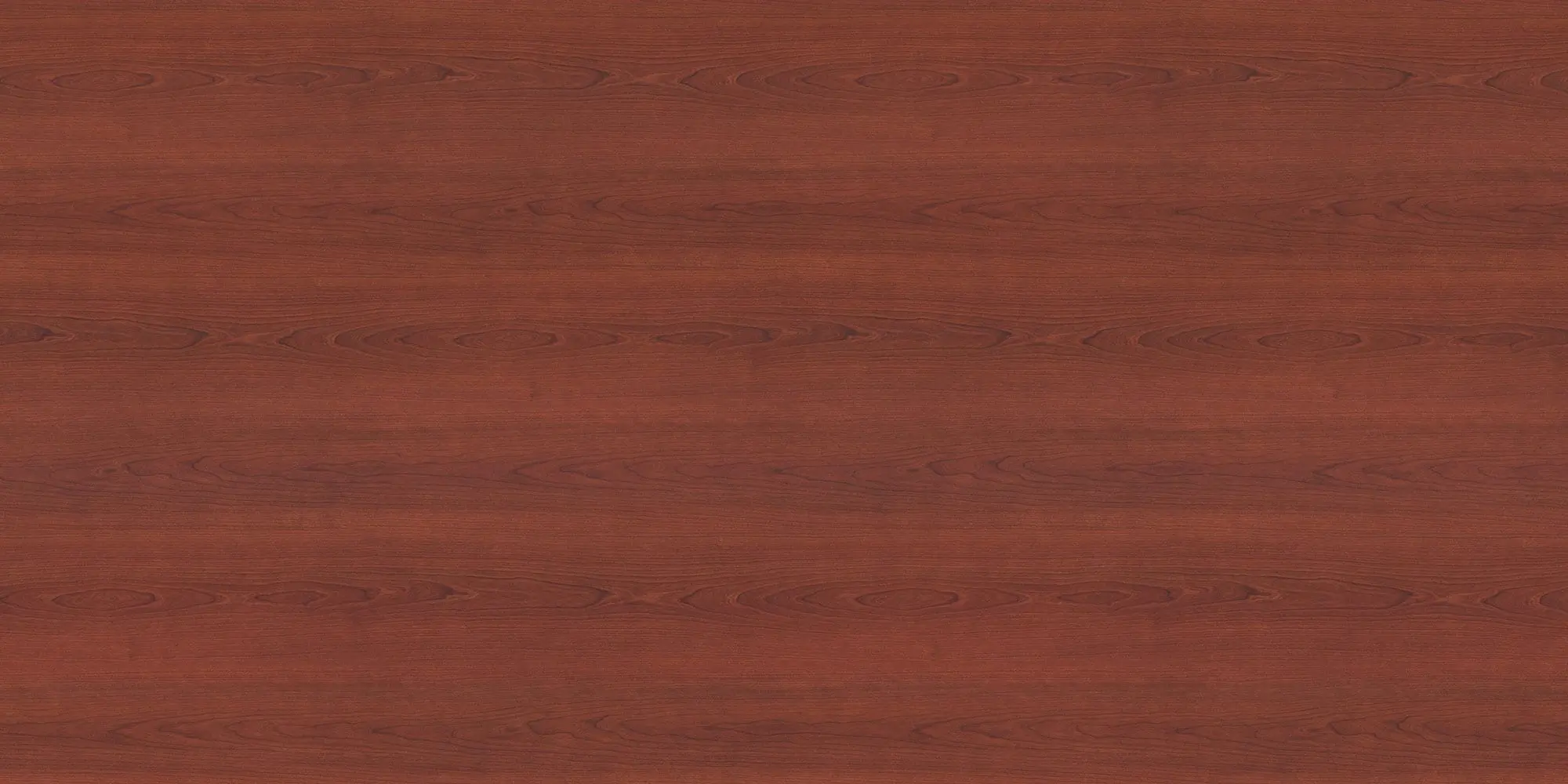 Yorkshire Cherry