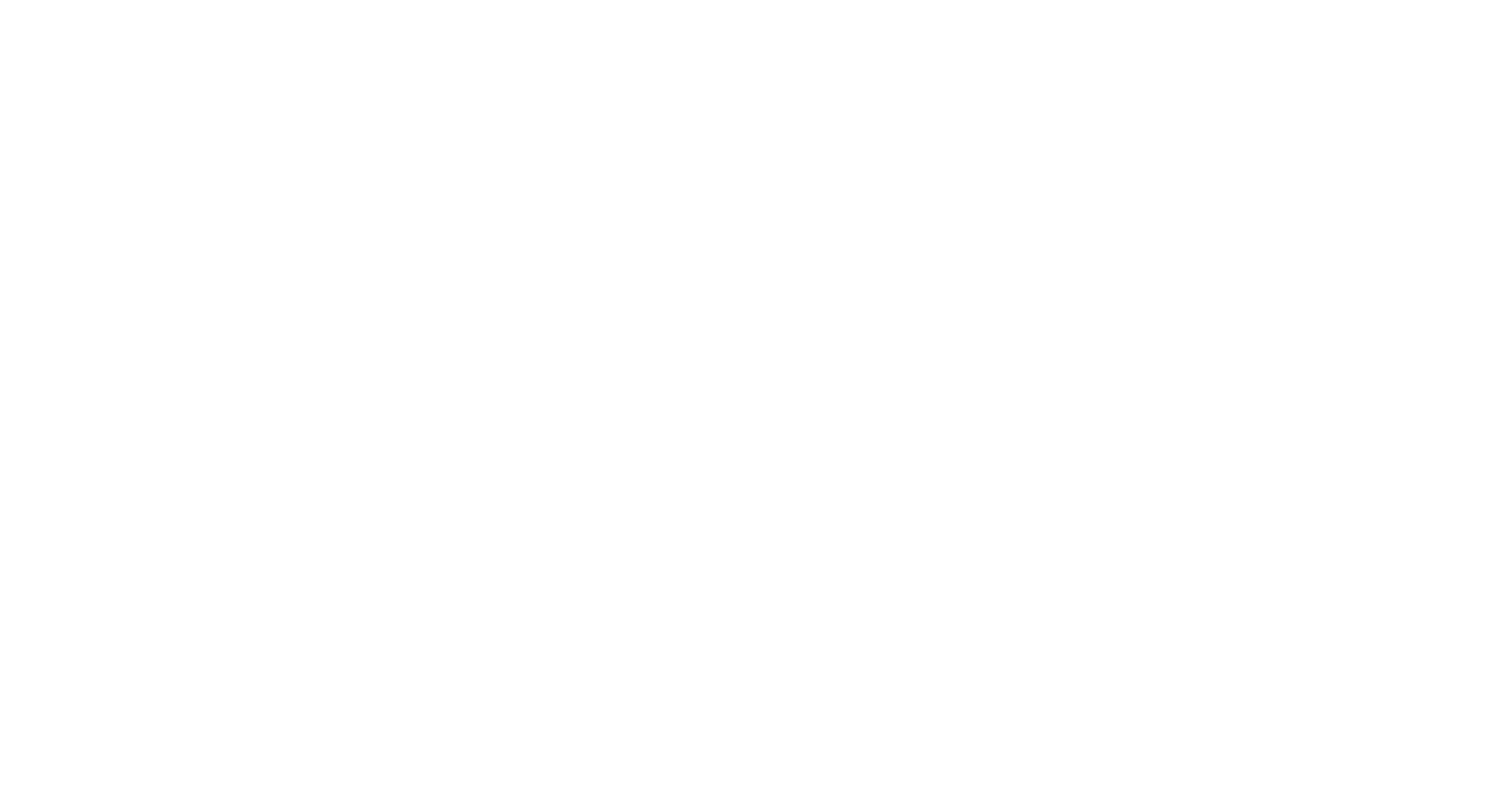 Logo CONEXSA