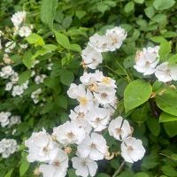 고양생태공원
