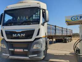 ALFA FREIGHT INTERNATIONAL photo 2