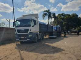 ALFA FREIGHT INTERNATIONAL photo 3