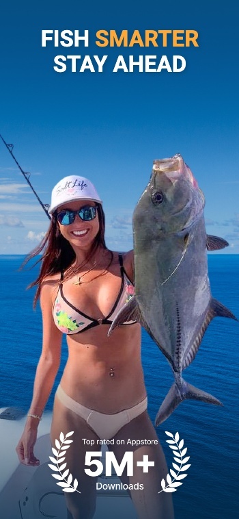 Inspired by Fishing App: Screenshot 2