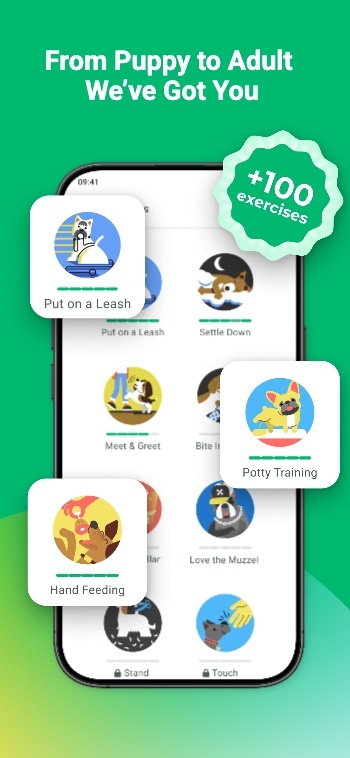 Inspired by Dogo: Screenshot 3