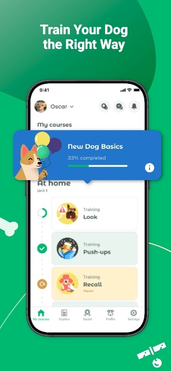 Inspired by Dogo: Screenshot 6