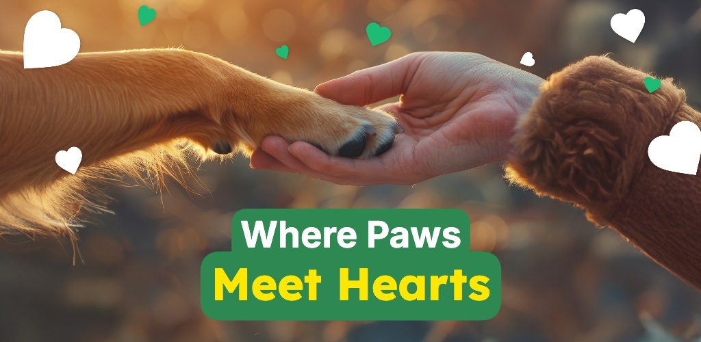 Google Feature Graphic: Pets: Screenshot 1