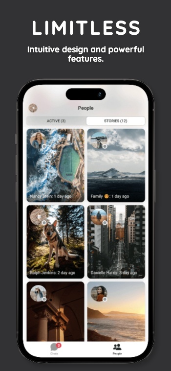 Free Monochrome Vertical: Screenshot 6