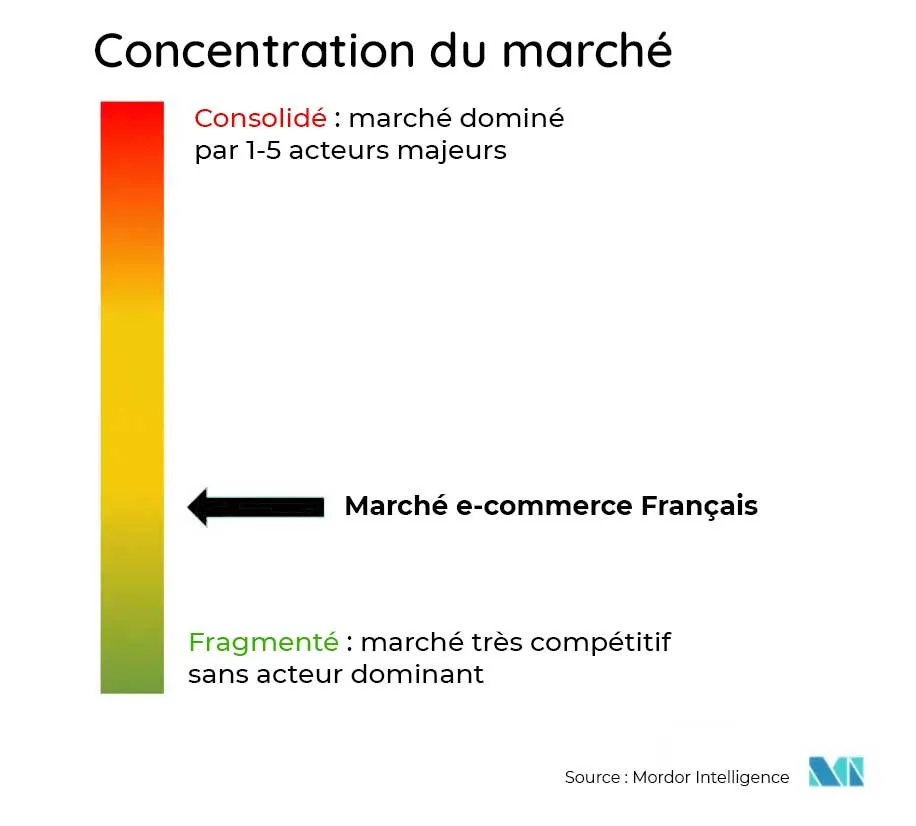 Marché e-commerce Français fragmenté