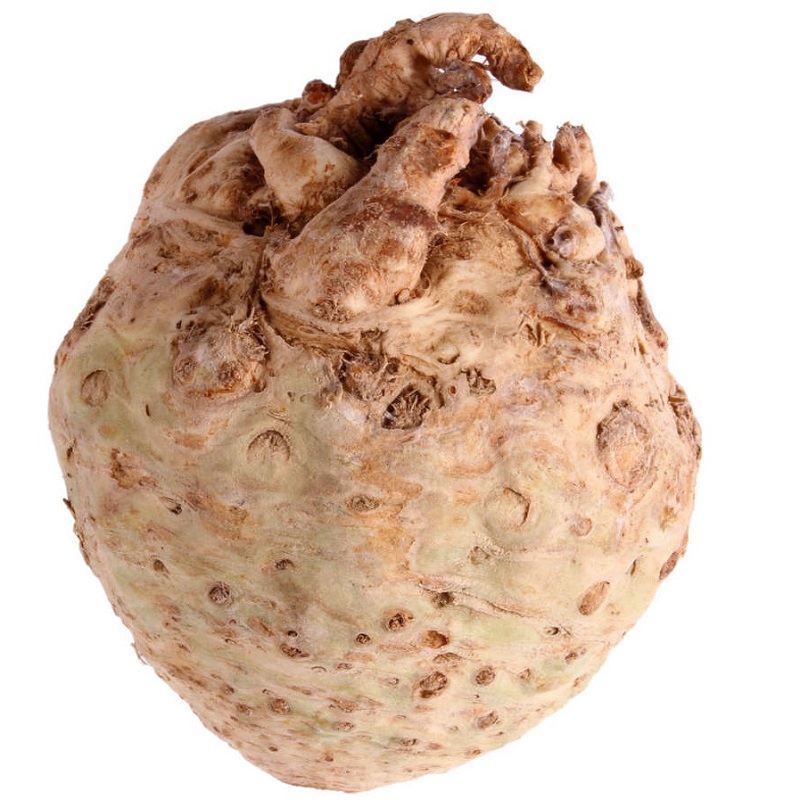 Țelină Rădăcină