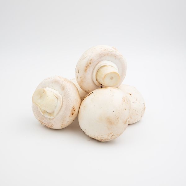 Ciuperci Champignon - produs