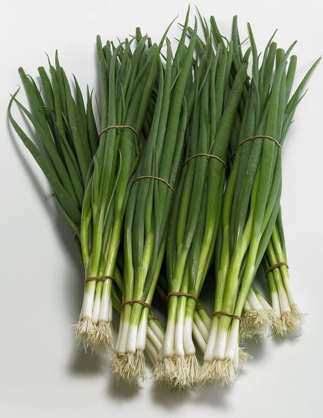 Ceapă Verde - produs