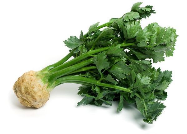  Țelină Verde - produs