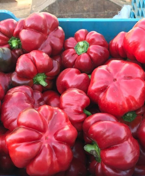 Gogosar Mare - produs