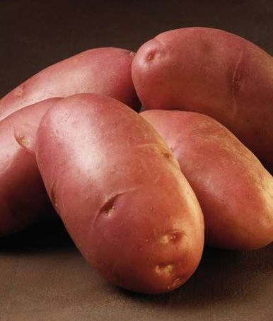 Cartof Roz - produs