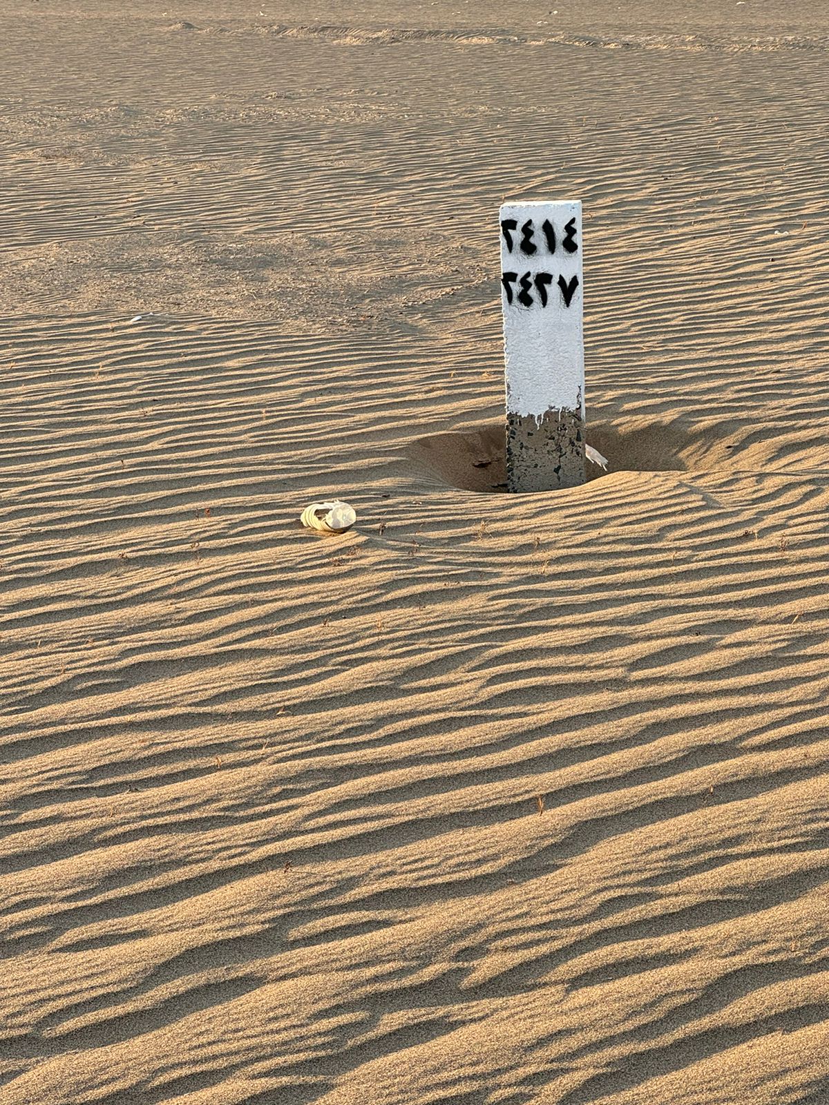 الهجرة  ج نص أرض  مساحه 447م شارع ١٦م شرقي وممر ٦ م جنوبي وحديقه الأضلاع ١٢ في٣٦ مطلوب 185 الف